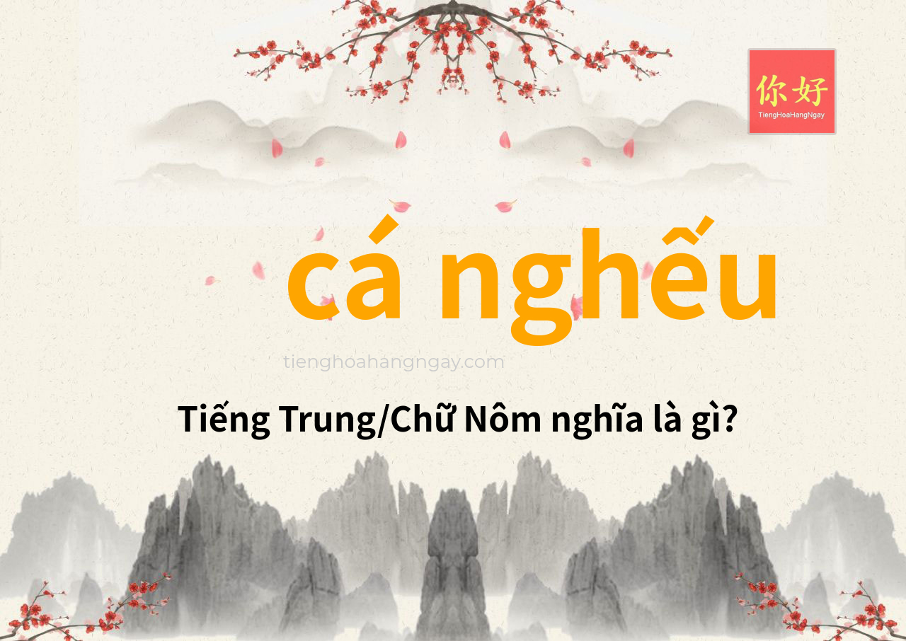 cá nghếu tiếng Trung là gì?